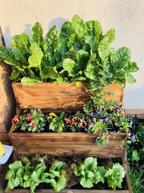 Balcony Garden Stand, Garden Box On Deck, Small Balcony Ideas Garden, Balcony Growing Vegetables, Balcony Gardening Vegetable, Plants In Small Balcony, Best Flowers For Containers, Small Balcony Flower Garden, Garden In Apartment Balconies