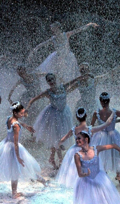 Dancers | Nutcracker Pacific Northwest Ballet, Ballet Inspiration, Ballet Art, Model Pose, Dancing Aesthetic, Nutcracker Ballet, Christmas Family Photos, Ballet Photography, Ballet Beautiful