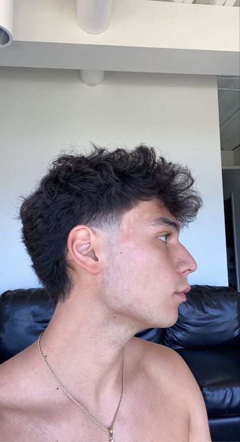 mens mullet Modernized Mullet Men, Curly Wavy Mens Hair, Mullets Mens Modern Curly Hair, Back Of Mullet Men, Short Tapered Mullet Men, Thick Hair Mullet Men, Small Mullet Curly Hair Men, Guy Hairstyles Mullet, Light Mullet Curly Hair Men