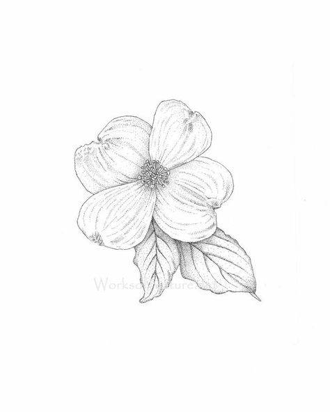 Dogwood Tattoo, Dogwood Flower Tattoos, Tattoo Tree, Tree Blossom, Dogwood Flower, Dogwood Blossoms, Trendy Tattoo, Dogwood Flowers, Flowers Tattoo