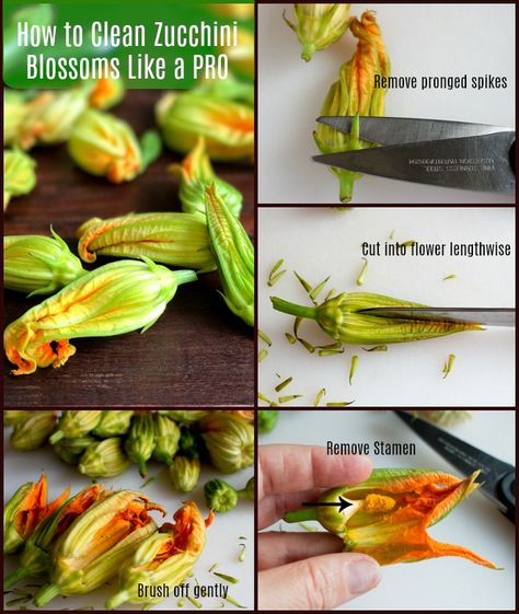 Italian Stuffed Zucchini Flowers, Squash Blossom Recipes, Squash Blossom Recipe, Stuffed Zucchini Flowers, Courgette Flowers, Squash Flowers, Italian Appetizer, Baked Ricotta, Zucchini Flowers