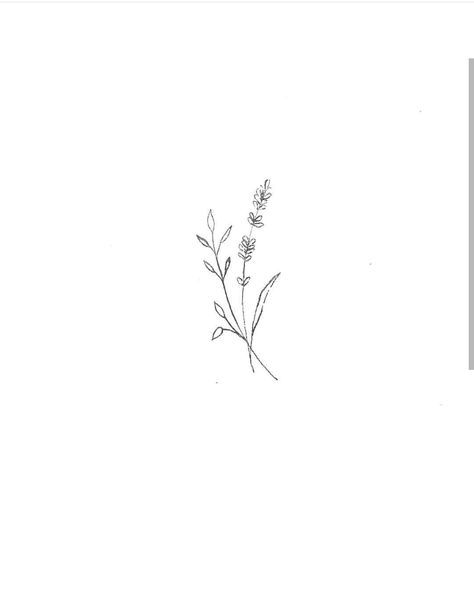 Wild flowers Simple Flower Drawing, Wildflower Tattoo, Beautiful Flower Drawings, Flowers Drawing, Drawing Flowers, Dainty Tattoos, 자수 디자인, Minimal Tattoo, Piercing Tattoo