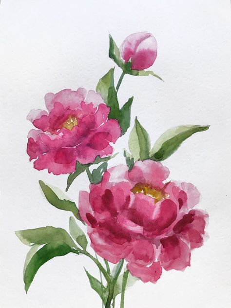 Peonie Watercolor Painting, Loose Floral Watercolor Painting, Watercolour Peonies, Peonies Drawing, Peony Watercolor Painting, Watercolour Peony, Rose Flowers Drawing, Sketches Abstract, Flower Pot Drawing