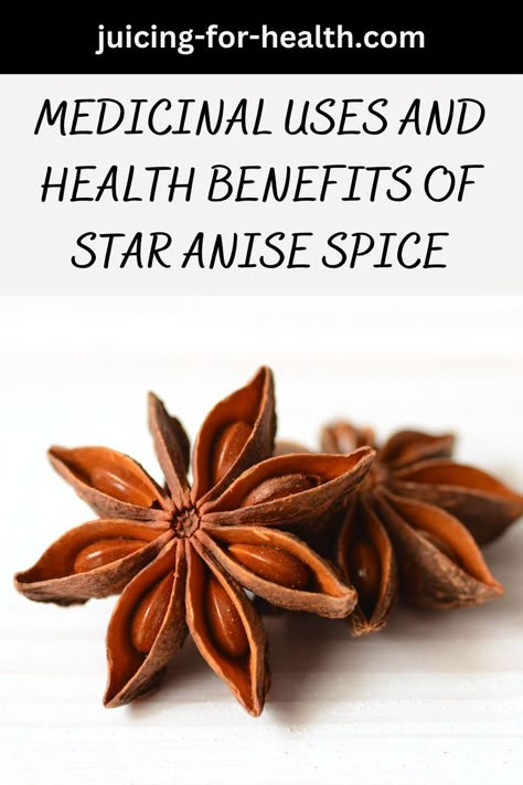 MEDICINAL USES AND HEALTH BENEFITS OF STAR ANISE SPICE Anise Tea Benefits, Anise Benefits, Star Anise Benefits, Star Anise Tea, Pantone Challenge, Anise Star, Root Work, Paleo Ideas, Flowers Recipes