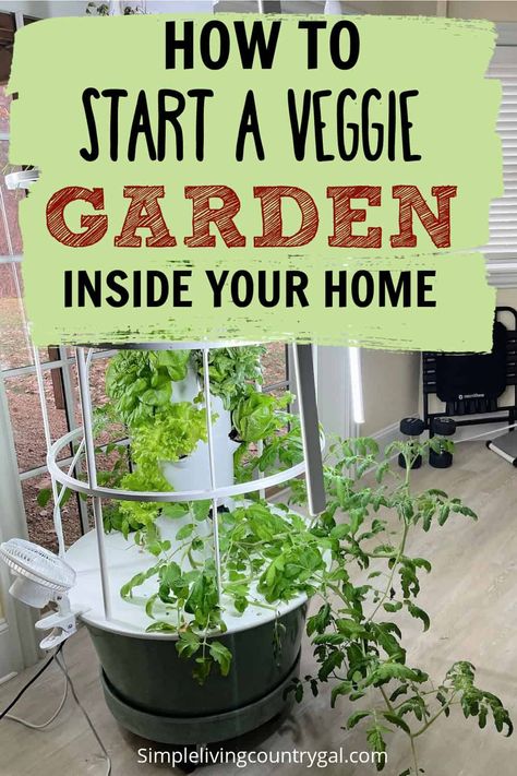 how to start a vegetable garden indoors. Grow your own vegetables in the comfort of your home! With the right amount of light, water, and nutrients, you can enjoy all the benefits of home-grown veggies in no time. From cherry tomatoes to mini peppers and baby greens--find out what plants work best for indoor growth and get started on your very own vegetable garden today. Vegetables To Start Indoors, Growing Plants Indoors Vegetables, Indoor Tomato Garden, Indoor Vegetable Garden Ideas, Indoor Food Garden, Indoor Vegetable Garden, Start A Vegetable Garden, Grow Your Own Vegetables, Growing Vegetables Indoors