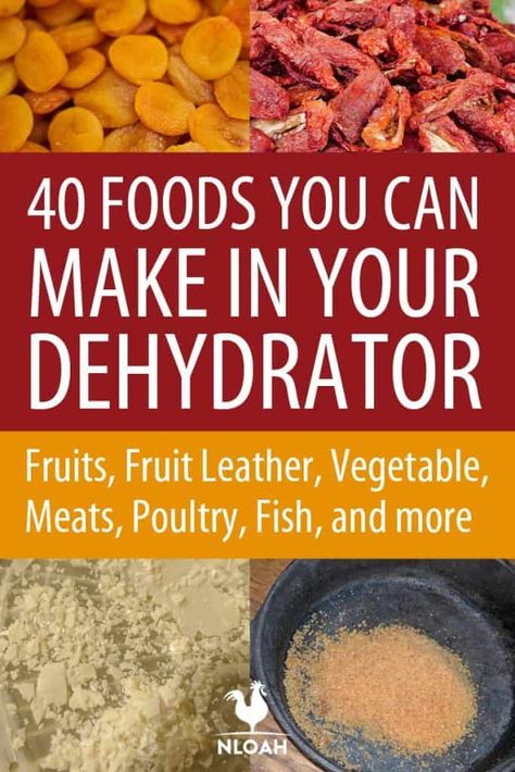 Foods To Dehydrate, Dehydrated Green Beans, Dehydrated Banana Chips, Dehydrator Recipes Fruit, Dehydrating Food Storage, Food Dehydration, Dehydrated Vegetables, Homesteading Ideas, Food Dehydrator