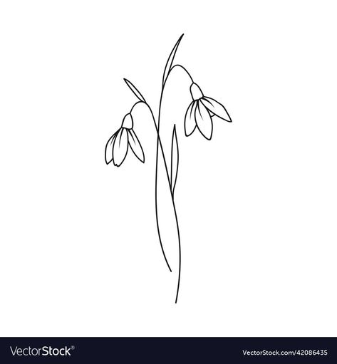 Snow Drops Drawing, January Flower Drawing, Snow Drop Flower Tattoos, Snow Drop Flower Drawing, Snowdrop Flower Tattoo Designs, January Snow Drop Tattoo, Snow Drops Tattoo, Snow Flower Tattoo, Snowdrop Outline