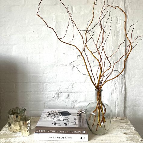 Twisted Willow Branches In Glass Vase With Twigs Dried Flowers Bottle Vase Small Clear Recycled Glass Vase Wedding Centrepiece Table Vase Large Branches In Vase, Twigs In Vase, Vase With Twigs, Tree Branch Vase, Glass Vase Wedding Centerpieces, Recycled Glass Vase, Vase With Branches, Wedding Centrepiece, Indoor Tree