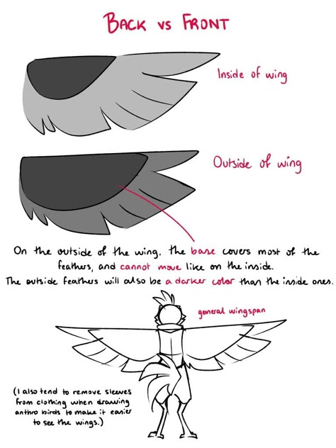 Crédito a @thrumples Anthro Bird, Good Omens S2, Wing Anatomy, Wings Inspiration, Draw Wings, Dragon Anatomy, Dark Carnival, Wings Drawing, Phoenix Design