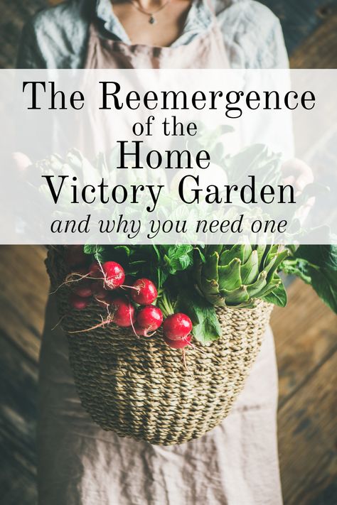 The reemergence of the Home Victory Garden and you NEED one, how to get started, and how to keep it going! Victory Garden Ideas, Victory Garden Layout, Victory Garden Plans, Victory Gardens, Backyard Garden Ideas, Keep It Going, Victory Garden, Veggie Patch, Charming Garden