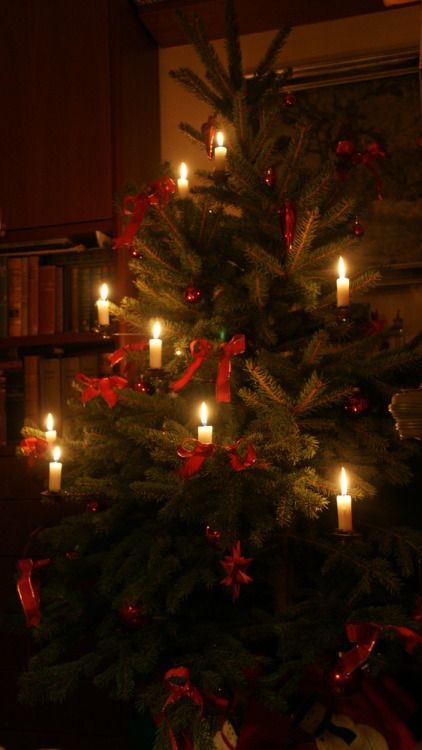 Tree With Candles, Natal Country, Real Candles, Cozy Candle, Tree Candles, English Christmas, Christmas Dreaming, Tree Candle, Dark Christmas