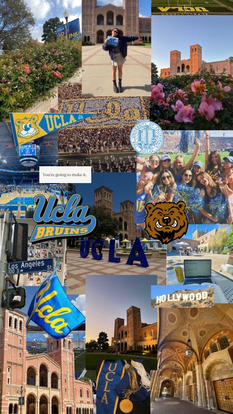 Ucla Dorm, Ucla College, Ucla University, University Inspiration, Dream University, Law School Inspiration, College Vision Board, Usa University, College Motivation