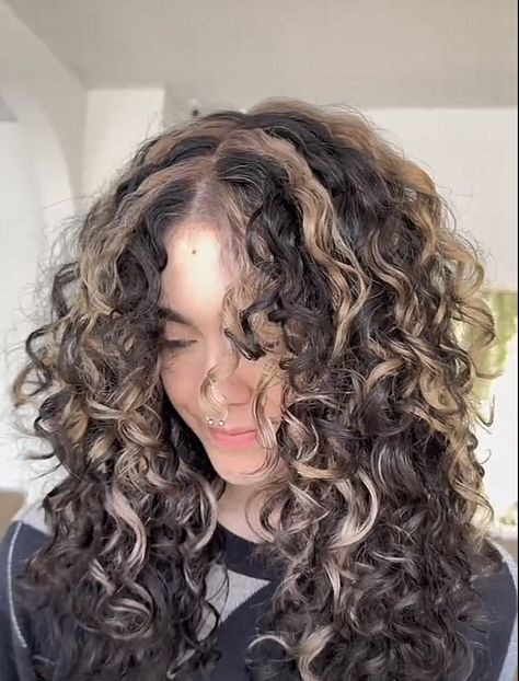 Skunk Hairstyle Curly Hair, Curly Dyed Highlights, Hair Dies Ideas For Curly Hair, Curly Skunk Highlights, Cute Hair Colors Natural, Curly Hair Dye Highlights, Natural Dyed Curly Hair, Curly Striped Hair, Oreo Hair On Curly Hair