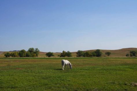 Ultimate South Dakota Road Trip Planner (including Itinerary) Crazy Horse Monument, South Dakota Road Trip, Spearfish Canyon, South Dakota Travel, Visit Yellowstone, Road Trip Planner, Custer State Park, Badlands National Park, Trip Planner