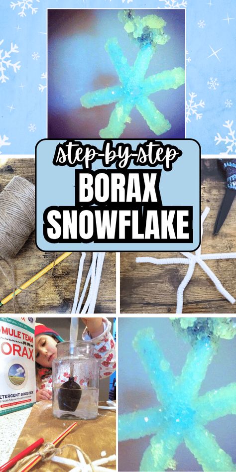 Holiday Kids Activities, Winter Stem Activities For Kids, Snowflake Craft For Kids, Science Christmas Ornaments, Winter Preschool Activities, Borax Snowflakes, Snowflakes Science, Snowflakes For Kids, Holiday Stem Activities