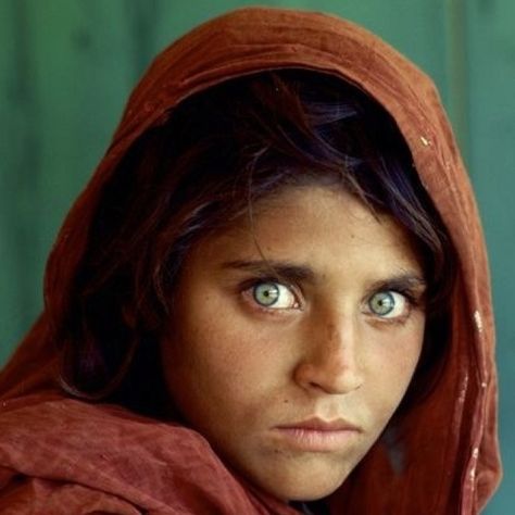 afghanistan girl time magazine - memorable & beautiful eyes National Geographic Cover, National Geographic Photographers, Real Eyes, Famous Pictures, Afghan Girl, Steve Mccurry, Famous Photos, Windows To The Soul, Most Beautiful Eyes