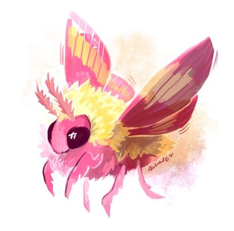 Bristol Tattoo, Fluffy Moths, Low Serotonin, Poodle Moth, Pretty Bugs, Maple Moth, Pink Moth, Moth Drawing, Ghibli Fanart