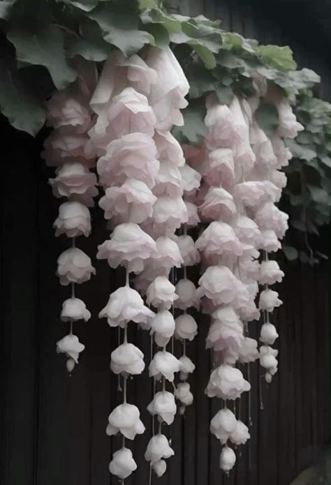 Weeping Begonia, Witchy Autumn, Balcony Decorating Ideas, Top And Long Skirt, Cozy Balcony, Pretty Flowers Pictures, Lily Of The Valley Flowers, Valley Flowers, Theme Nature