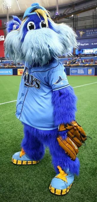 Tampa Bay Rays Outfit Ideas, Tampa Bay Rays Baseball, Rays Baseball, Scenic Pictures, Baseball Stuff, Team Mascots, Tampa Bay Lightning, Game Pictures, Tampa Bay Rays