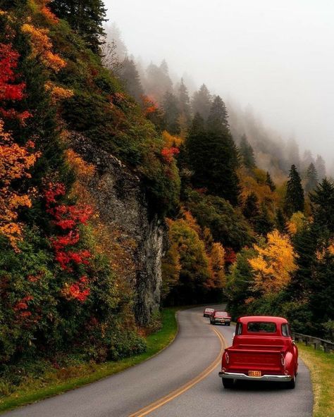 Craggy Gardens, Mountain Travel, Autumn Scenes, Autumn Scenery, Autumn Beauty, Fall Pictures, Autumn Cozy, Autumn Aesthetic, Autumn Inspiration