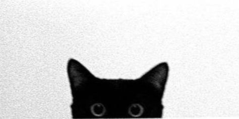 Tumblr Masterlist Header, Cat Cover Photo Facebook Aesthetic, Cats Header Twitter, Profile For Twitter, Cute Cat Header, Aesthetic Twitter Profile Pic, Black Cat Header, Google Profile Pics, Cat Header Twitter