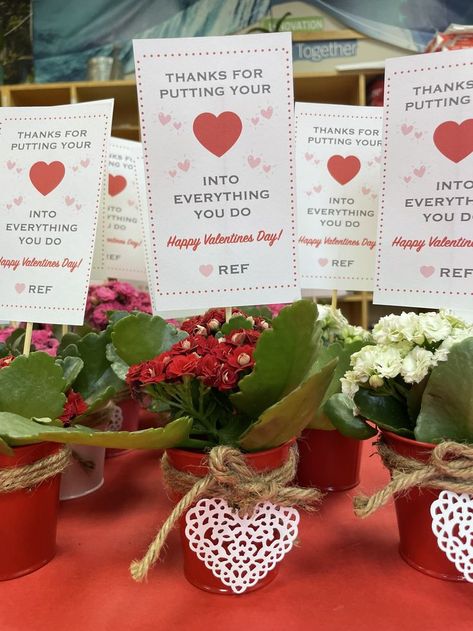 Valentines Day Plant for teachers. teacher appreciation. february teacher gift. Flowers in tin pot. Class Holiday Gifts, Associate Appreciation, Teacher Appreciation Crafts, Plant Gift Ideas, School Holiday Ideas, Staff Appreciation Ideas, Staff Ideas, Valentines Day Teacher, Valentines Classroom