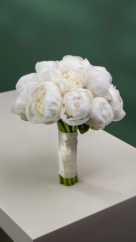 Dainty White Bridal Bouquet, Minimal White Flower Bouquet, Timeless Bride Bouquet, Simple Roses Bouquet, Wedding Flowers Romantic, Hailey Bieber Wedding Bouquet, White Tulips Bridal Bouquet, White Hydrangea Bridesmaid Bouquet, Bridal Bouquet Aesthetic