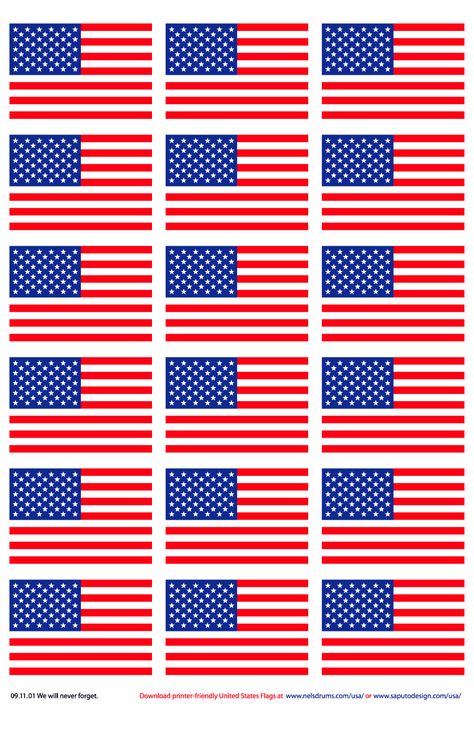 Printer-Friendly American Flags American Flag Template, American Flag Images, Florida Flag, American Flag Art, Flag Printable, Flag Template, Usa Party, Us Flags, Diy Graduation Cap