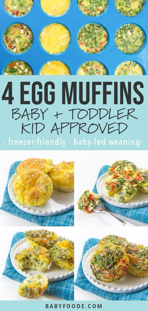 These healthy Breakfast Egg Muffins come in four different tasty combinations and are filled with veggies, eggs, cheese and even bacon! A filling and nutritious breakfast for your baby, toddler, and kids that are perfect for on-the-go eating. They can even be frozen and reheated for a quick breakfast. Great for Baby-Led Weaning! #egg #baby #toddler #kid #breakfast Blw Egg Muffins, Egg Bites Baby Led Weaning, Egg Muffins For Toddlers, Toddler Egg Muffins, Toddler Egg Recipes, Egg Bites For Babies, Egg Muffins For Baby, Toddler Breakfast Muffins, Muffins For Baby