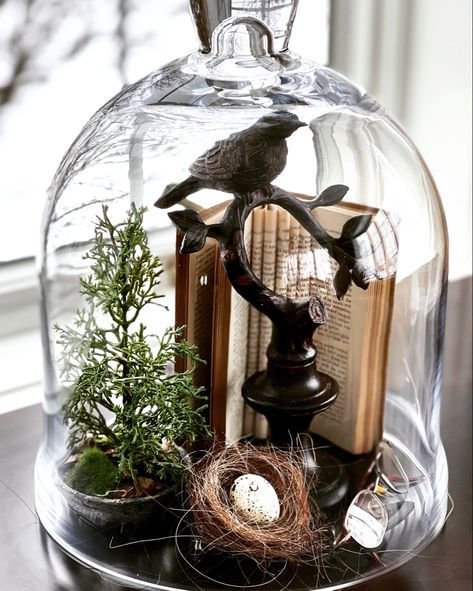 Wire Cloche Decor Ideas, Curio Cabinet Decor Ideas Display, Fall Cloche Ideas, Bell Jar Decor, Naturalist Aesthetic, Vintage Spring Aesthetic, Glass Cloche Decor, Vintage Spring Wedding, Cloche Display