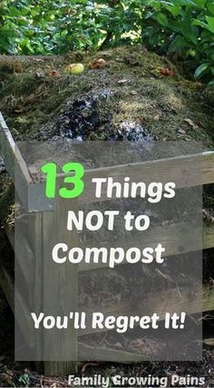 A compost bin is necessary for vegetable gardening and growing your own food. Even homesteaders with small scale farms can have a compost! Composts add vital nutrients back into your soil, increasing your harvest, but you don't want to put these 13 things into your compost! #Composting #VegetableGarden Compost Diy, Composting Methods, Compost Toilet, Diy Compost, Compost Bins, Composting At Home, Garden Compost, Vertical Gardening, Home Vegetable Garden