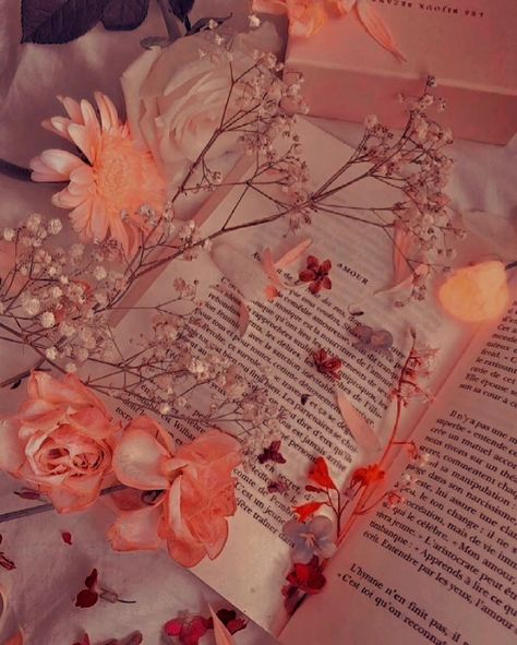 #book with flowers aesthetic#book and flowers aesthetic#book flowers aesthetic#pink flowers and book aesthetic#book pressed flowers aesthetic#book with flowers aesthetic brown#book with flowers aesthetic drawing#book of flowers aestheticflower#garden wallpaper desktop#flower garden wallpaper iphone-flower garden wallpaper aesthetic#flower garden wallpaper#backgrounds#flower garden wallpaper nature#flower garden aesthetic wallpaper#flower#book page aesthetic background#aesthetic book page backgro Book With Flowers Aesthetic, Lilliancore Aesthetic, Garden Wallpaper Desktop, Book And Flowers Aesthetic, Garden Wallpaper Aesthetic, Book Pressed Flowers, Pressed Flowers Aesthetic, Lillian Core, Wallpaper Aesthetic Flower