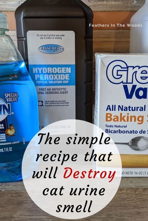 How to remove cat urine smell. Simple recipe that works every single time! Don't waste a ton of money at the pet store when you have all 3 ingredients at home already! Simply mix them up and spray the solution on the soiled spot and the smell will be gone! Works even if you previously used another cleaning solution on the catt pee stain! #cats #naturalcleaning #homesteading Cat Pee Smell Removal, Remove Cat Urine Smell, Pet Urine Smell, Cleaning Pet Urine, Urine Remover, Cat Urine Remover, Cat Pee Smell, Cat Urine Smells, Smell Remover