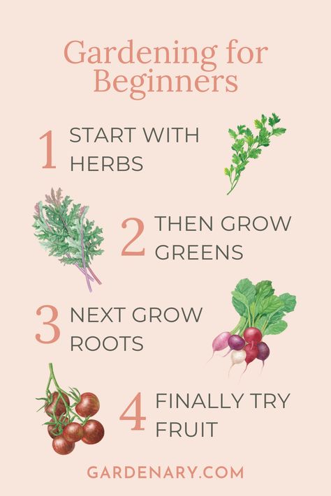 If you're a beginner gardener, the easiest way to get started learning how to garden is by following these four steps. When To Start A Garden, Small Beginner Garden, Gardening In Pots For Beginners, Gardening Indoors For Beginners, Best Vegetables To Grow For Beginners, Planning A Garden For Beginners, Garden For Beginners Vegetable, Growing A Garden For Beginners, Self Sufficient Living For Beginners