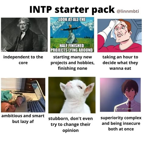 Intp Core, Intp Type, Intp Relationships, Intp Female, Intp Things, Intp Mbti, Istp Personality, Intp Entp, Intp Personality Type