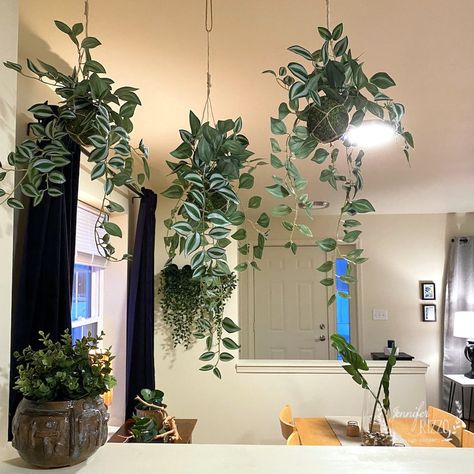 Townhouse Dining Area and Kitchen Before and After - Jennifer Rizzo Hanging Moss, Semi Open Kitchen, Kitchen Opening, Arts And Crafts Home, House Renovation Ideas, Hanging Plant Wall, Velvet Drapes, Kitchen Hanging, Handmade Ceramics Pottery