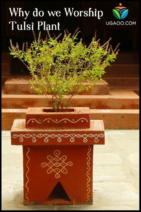 Tulsi Pot Design, Tulasi Pot Designs Painting, Tulsi Vrindavan, Terasse Ideas, Tulasi Plant, Tulsi Pot, Tulsi Vivah, Tulsi Plant, Warli Painting