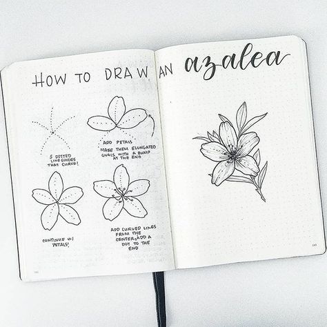 This is super cute @splendidscribbles and I’m sure lots of you could use this in your spreads too 📸💞 #notebooktherapy - Shop dotted… Hur Man Ritar Blommor, Doodles Draw, Drawings Of Flowers, How To Draw Flowers, Easy Flower Drawings, Flower Journal, Botanical Line Drawing, Flower Drawing Tutorials, Draw Easy