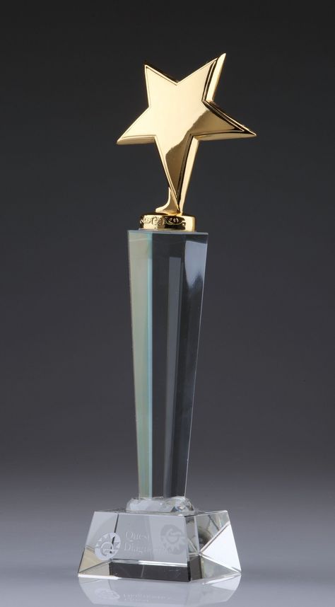 Gold Metal Star Crystal Awards Award Trophy Design, Cricket Bat Ball, Wood Trophy, Trophy Craft, Metal Trophy, Crystal Trophy, Bat Ball, Star Trophy, Trophy Collection