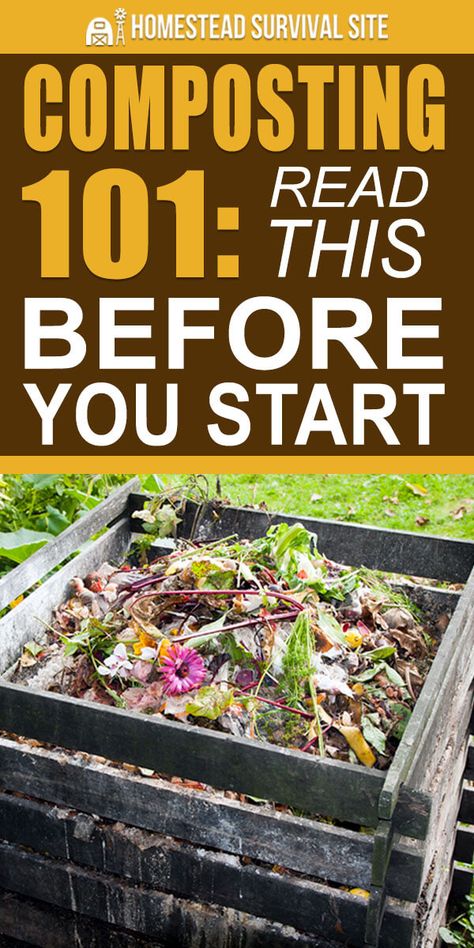 Composting For Beginners, Composting 101, Compost Bin Diy, Diy Compost, Compost Bins, Composting At Home, Organic Vegetable Garden, Garden Food, Garden Compost