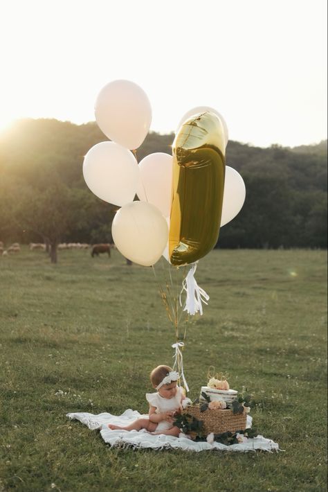 1st Birthday Picnic Photoshoot, 1 Year Balloon Ideas, First Birthday Picnic Photoshoot, Outside Cake Smash Photoshoot, One Year Birthday Photoshoot Ideas, First Birthday Outdoor Party, One Year Old Photoshoot Outside, First Birthday Photoshoot Outdoors, Birthday In Nature