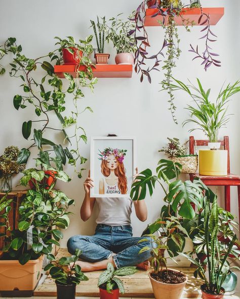 Plant Photoshoot, Studio Background Ideas, Golden Garden, Green Inspiration, Crazy Plant Lady, Plant Guide, Cat Drawings, Book Corners, Plant Photography