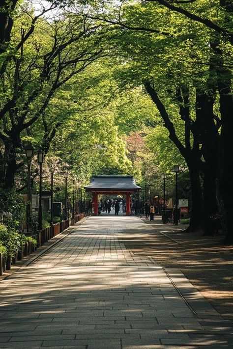 "🌸🏯 Experience the charm of Ueno Park in Tokyo! Stroll through lush gardens, visit museums, and enjoy seasonal cherry blossoms in this historic urban park. 🌳🗼 #UenoPark #Tokyo #CherryBlossoms" Ueno Park Tokyo, Ueno Park, Japan Garden, Urban Park, Lush Garden, Green Space, Tokyo Japan, Cherry Blossoms, Japan Travel