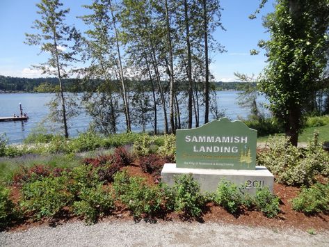 East Lake Sammamish Trail, Lake Sammamish State Park, Issaquah, Washington, United States of America | AllTrails.com Lake Sammamish Washington, Moving To Washington State, Sammamish Washington, Issaquah Washington, East Lake, Washington State, Hiking Trails, North West, Pacific Northwest