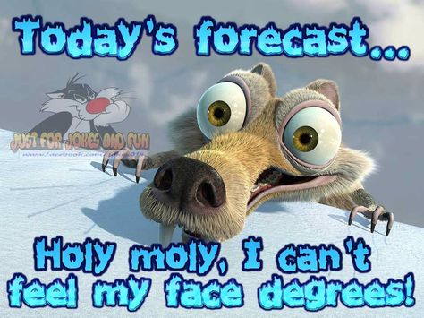 Today's forecast... Holy moly, I can't feel my face degrees! Ice Age Funny, Ice Age Squirrel, Ice Age 1, Ice Age Movies, Super Cool Stuff, Inspirational Movies, Birthday Wallpaper, Bmw Love, Ice Age