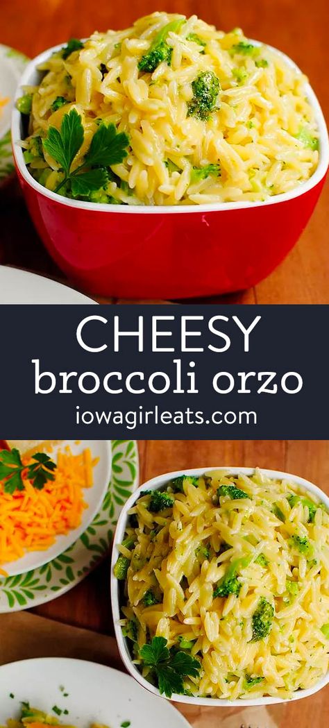 Easy Pasta Side, Side Dishes For Pork Chops, Orzo Easy, Healthy Sides For Chicken, Orzo Recipes Side, Cheese Orzo, Pasta Side Dishes Easy, Broccoli Orzo, Pasta Side Dish