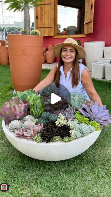 Suculentas e Cactos Pé de Flor. Adriana Ancelmo on Instagram: "Arranjo gigantesco lotado de suculentas 💚 #suculentasbrasil #suculenta #suculentas #cactos #suculentasecactos #pedeflor #pedeflorsuculentas #goiania #goiânia #goianiagoias #goianiago" Big Planters Outdoor Ideas, Succulent Garden Outdoor, Suculent Plants, Succulent Outdoor, Planter Arrangements, Big Planters, Pocket Garden, Succulent Garden Design, Backyard Plants