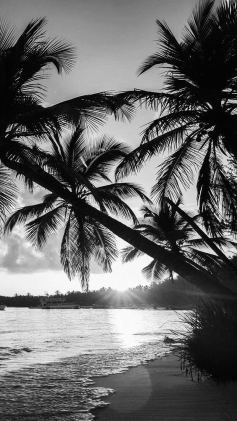 Ocean Aesthetic Black And White, Ocean Black And White Aesthetic, Photo Aesthetic Noir, Black And White Beach Wallpaper, Wigets Pictures Aesthetic Black, Beach Black And White Aesthetic, Black And White Aesthetic Nature, Black Summer Wallpaper, Black And White Summer Aesthetic