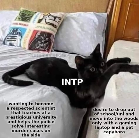 Intp Core, Intp Things, Internally Screaming, Intp Mbti, Intp Personality Type, Mbti Intp, Intp T, Intp Personality, Intj Intp