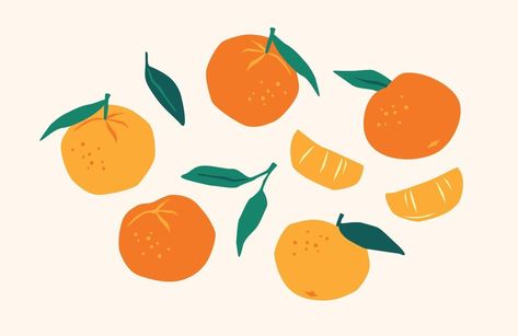 Drink Website Design, Drink Website, Illustrator Ideas, Fruit Clipart, Fruit Orange, New Year Illustration, Seder Plate, Plant Vector, Dog Vector